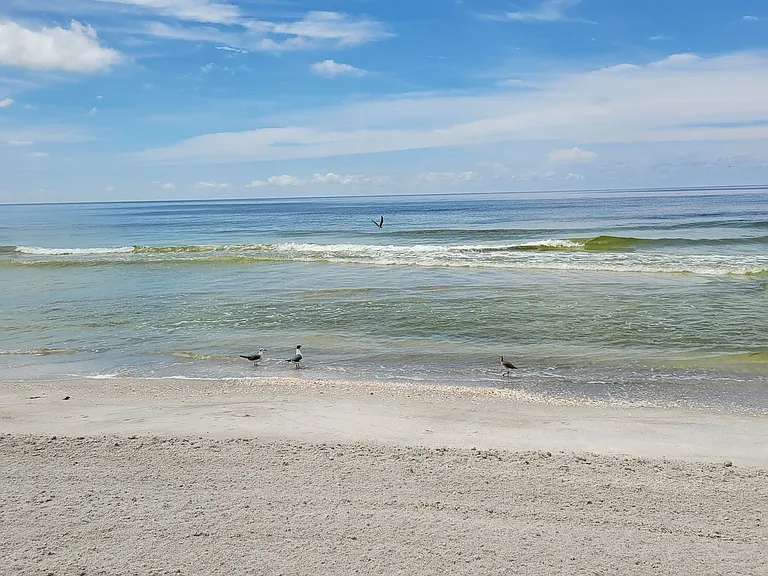 1000 Longboat Club Rd #406 — Photo 37
