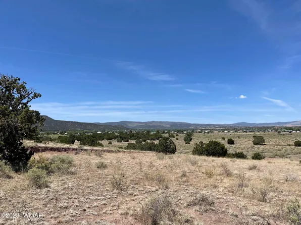 E Rogers Ranch Rd, Springerville, AZ 85938