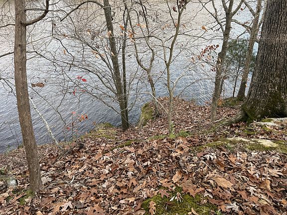 3rd image of 0 Canyon Run Rd Lot 91