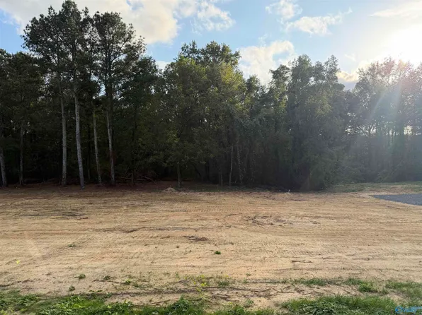 8767 Cox Gap Rd, Boaz, AL 35956