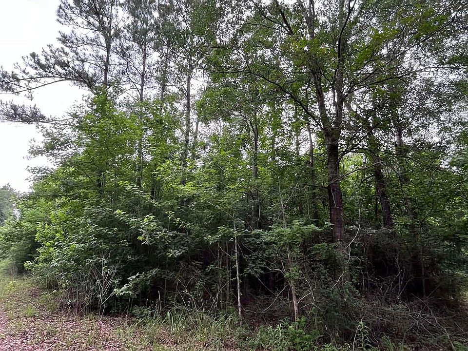 2nd image of 1200 County Road 4031