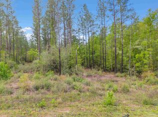 LOT 8 Mineral Springs Rd, Jay, FL 32565