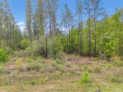 LOT 8 Mineral Springs Rd, Jay, FL, 32565