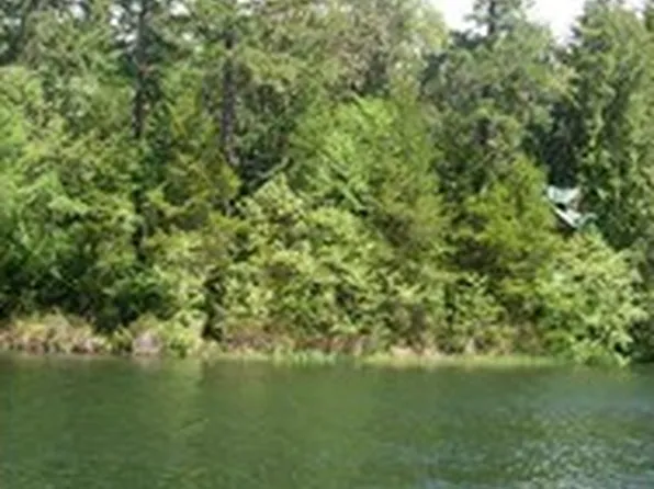 10920 104th St, Anderson Island, WA 98303