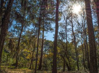 7450 Jenkins Hill Rd, Edisto Island, SC 29438