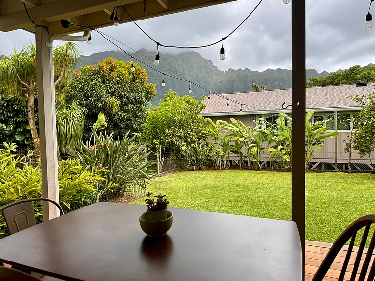 Back Yard