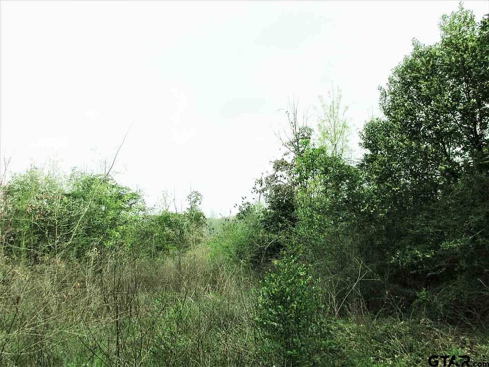 2nd image of County Road 1617
