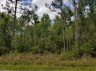 4620 Benedict St, Hastings, FL 32145