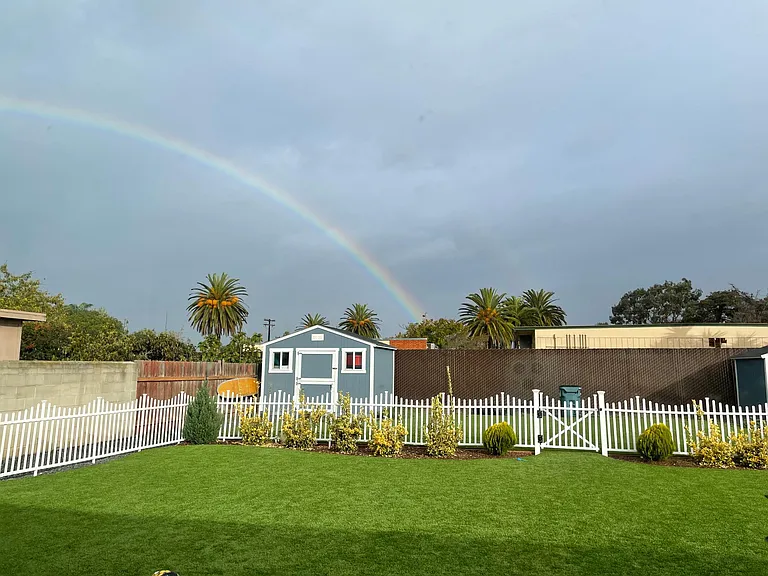 view from kitchen window. White fence divides backyard from human side (foreground) from dog side (back ground near sheds).