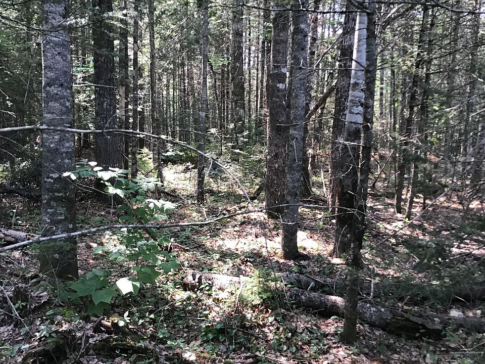 2nd image of 7 Peninsula Dr