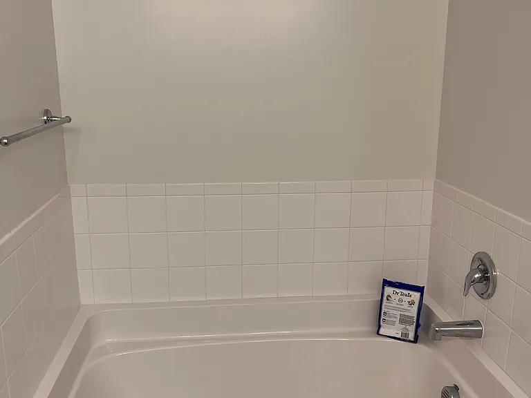 Master Bath Soaking Tub