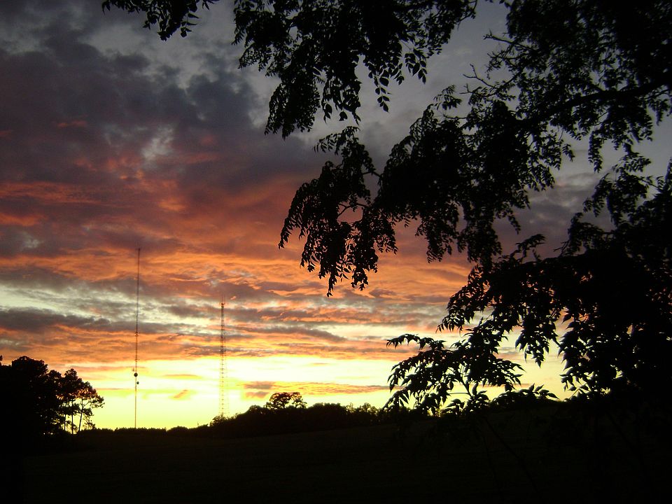 picture taken from the back 
