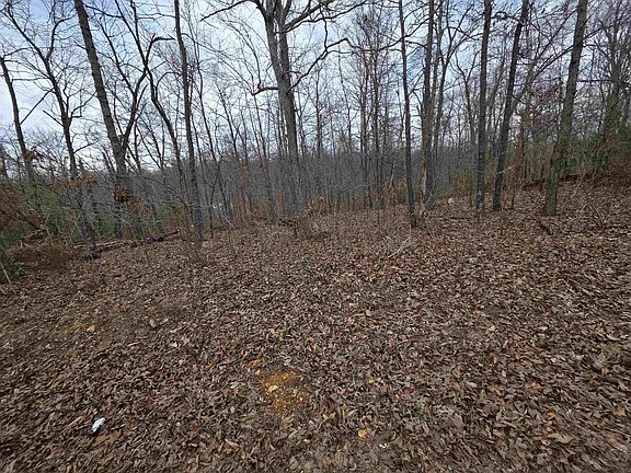 3rd image of L17-B3 S Summit Ridge Dr