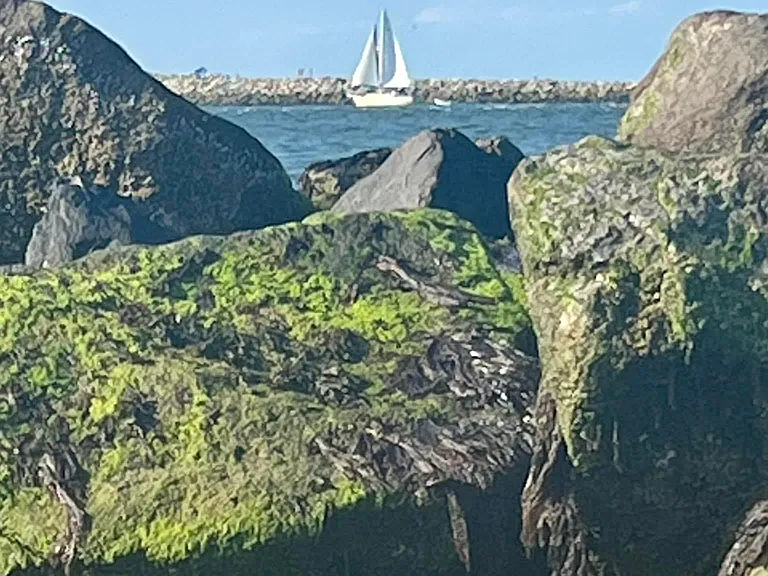 Quiet cove