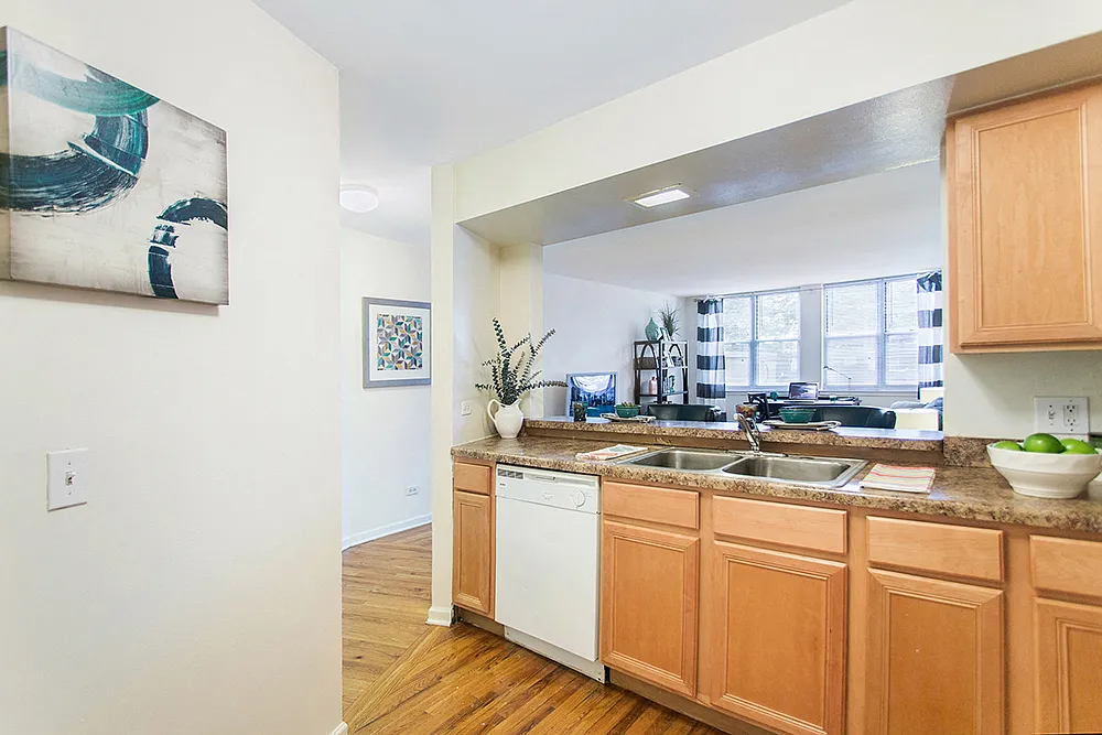 Sheridan Lake - 6401 N Sheridan Rd — Photo 3