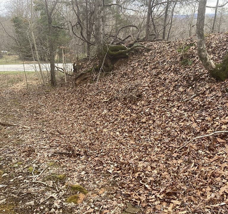2nd image of Clark Mountain Rd