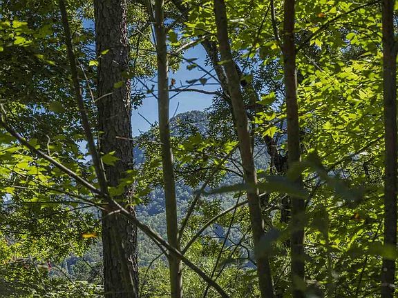 4th image of 18 Teaberry Vista Ln Lot 16
