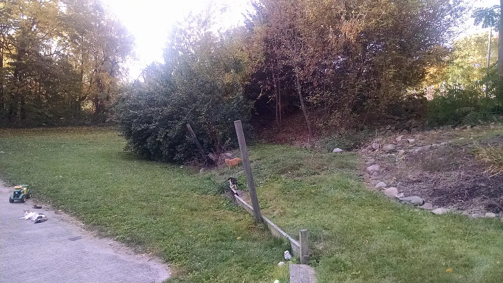 Property photo 3