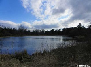 10300 Mattoon Rd, Prattsburgh, NY 14873