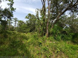 406 Parrot Ave, Sebring, FL 33872