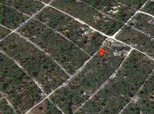 312 Hossler Ave, Lake Placid, FL 33852