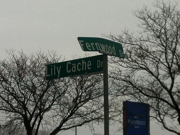 5th image of 11 Fernwood Dr