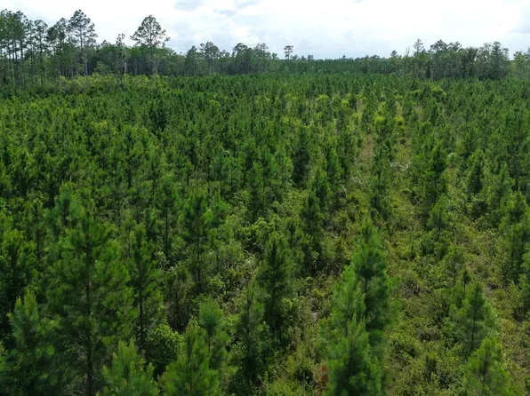 TRACT 7 Owens Ferry Rd, White Oak, GA 31568