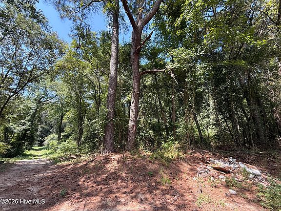 2nd image of Lot 1a Holland Road