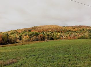 Ed Herman Rd, Schenevus, NY 12155