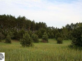 Erwin Rd, Copemish, MI 49625