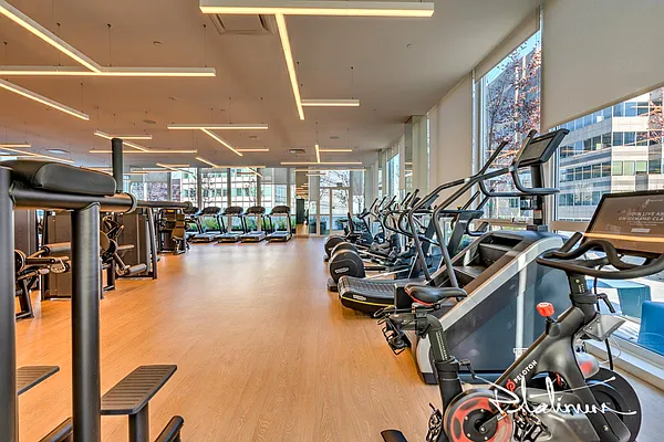 Rented by Platinum Properties | media 50