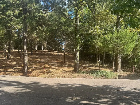 17521 Sleepy Hollow Way, Flint, TX 75762