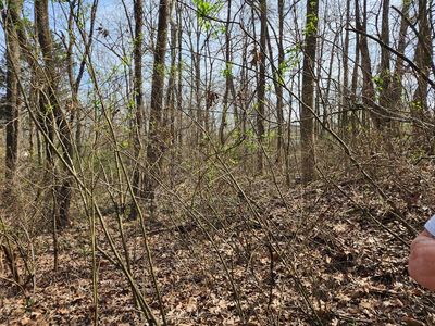 0 Madden St, Camden, TN, 38320