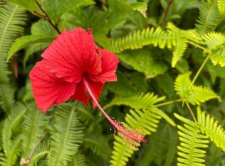 Road 6 Ooaa LOT 4290, Kurtistown, HI 96760