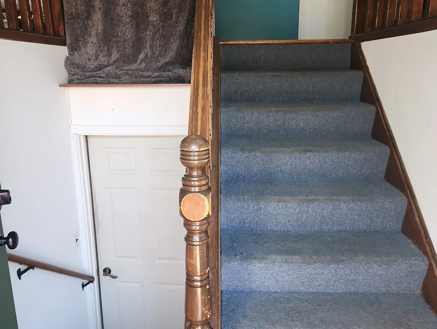 1 bed, 100 sqft, $800 — Photo 3
