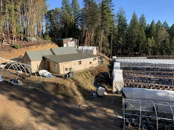 851 Live Oak Rd, Hayfork, CA 96041