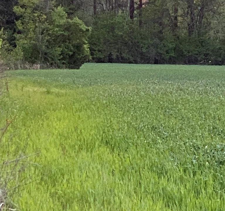 11 Oak Ridge Rd, Vicksburg, MS 39183 Zillow