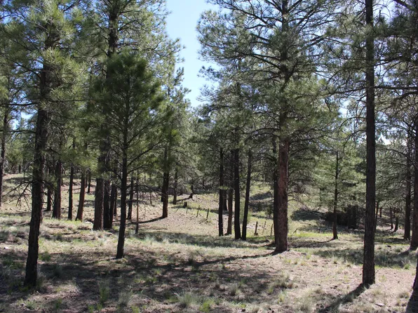 2980 S Solitaires Canyon Dr #349, Flagstaff, AZ 86005