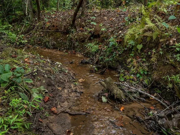 117 Poplar Dr, Dawsonville, GA 30534