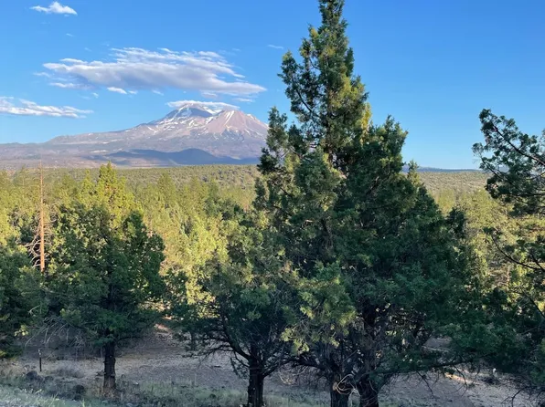 LOT 90 Juniper Peak Rd, Weed, CA 96094