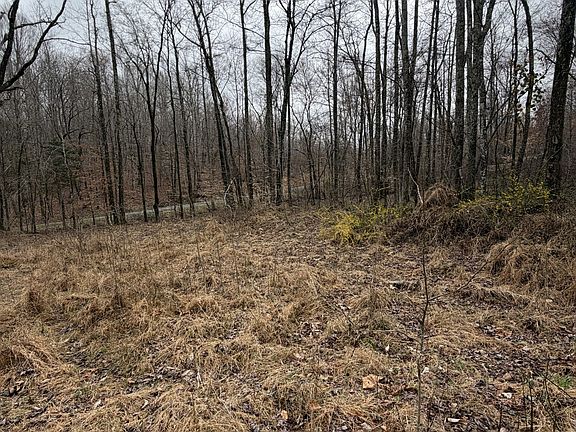 5th image of 0 Coxburg Rd S