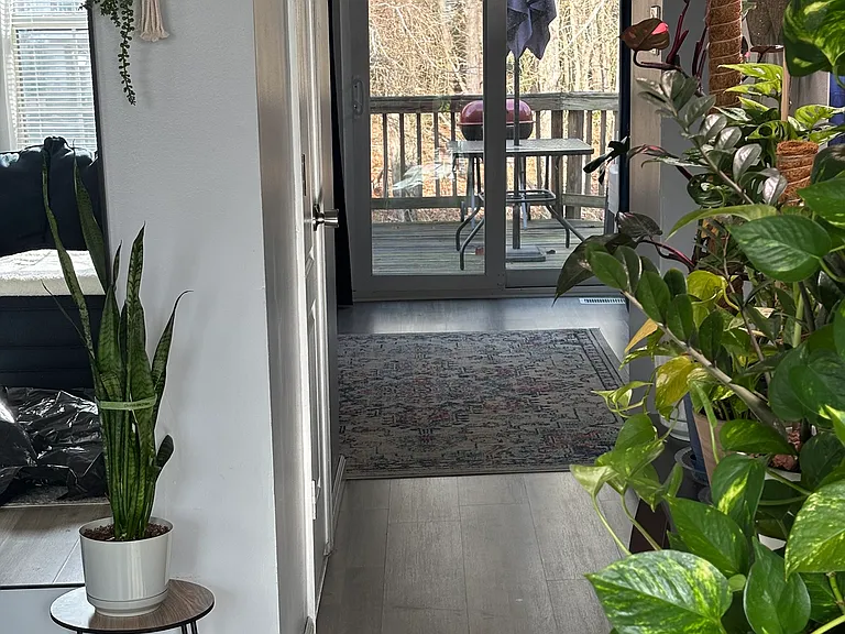 1538 Deep Gorge Ct — Photo 6