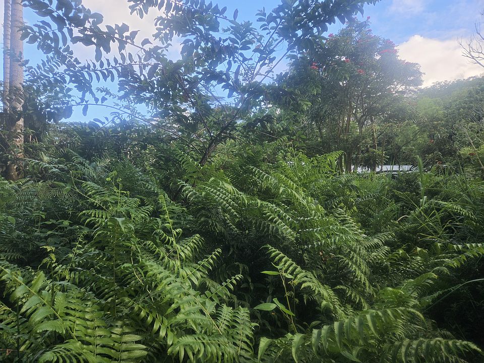 1st image of Kekauonohe St Lot 11