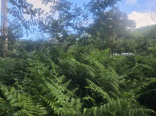 Kekauonohe St Lot 11, Pahoa, HI 96778