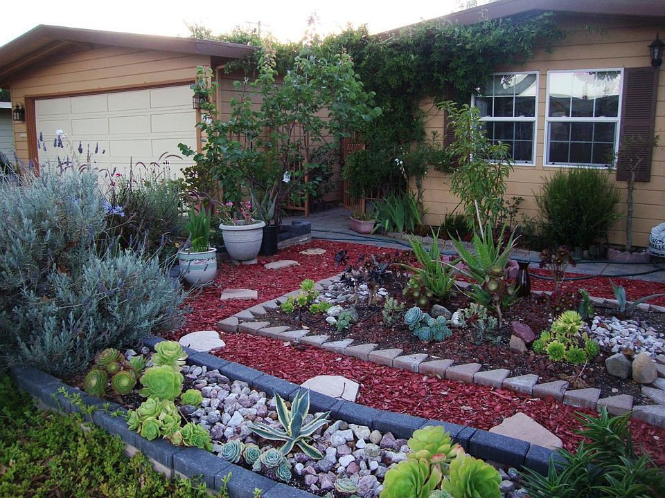Front yard