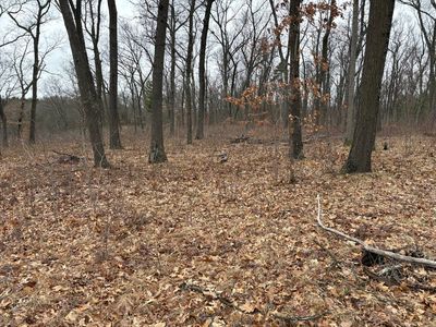 Wilke Rd, Fremont, MI, 49412