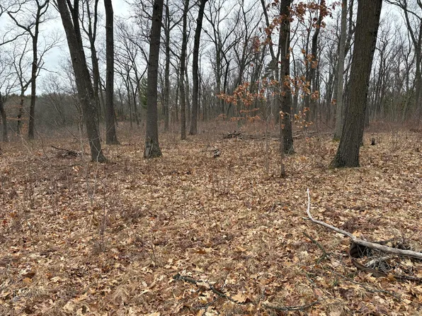 Wilke Rd, Fremont, MI 49412