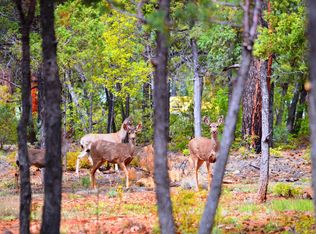 4200 S Elk Trot Loop LOT 50, Show Low, AZ 85901