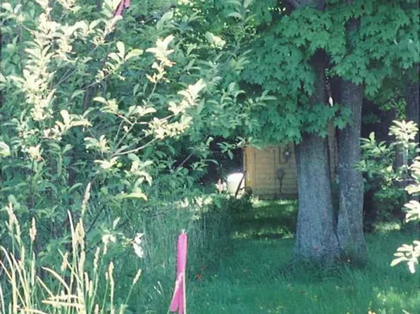 LOT 5 Meadow Brooke Ln, Kewadin, MI 49648