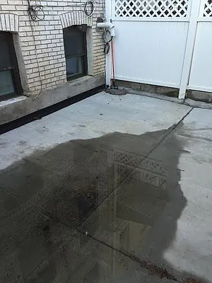 Rented by P Management | media 75